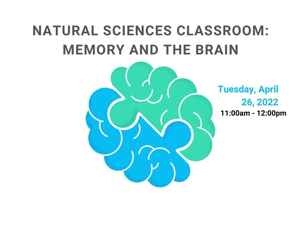 A cartoon image of a brain one side is blue and one side is green and they fit together like a puzzle. The text above the image reads "Natural Sciences Classroom: Memory and The Brain" the text beside is reads "Tuesday, April 26 2022. 11:00am-12:00pm"
