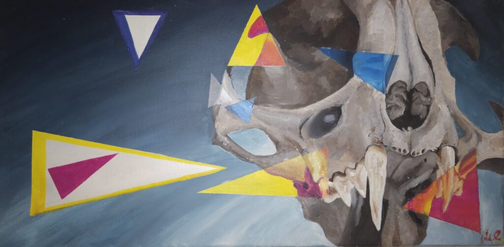Depicted is a bobcat skull that goes through transformative colors and shapes. Breaking down the simplicity of shapes as the skeleton is the simplest shape of a being